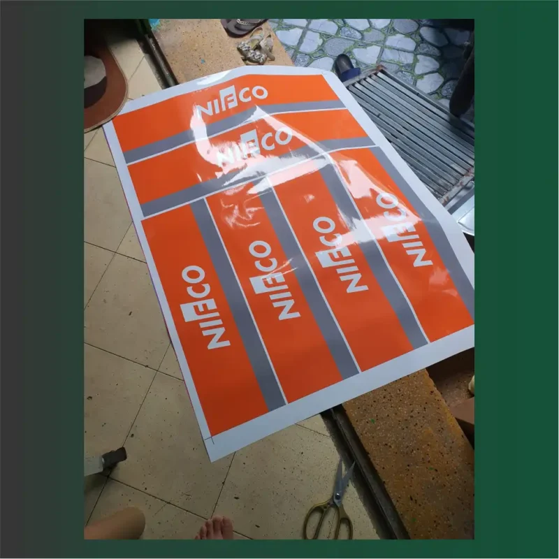 mẫu in pp decal